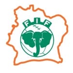 @fif.ci