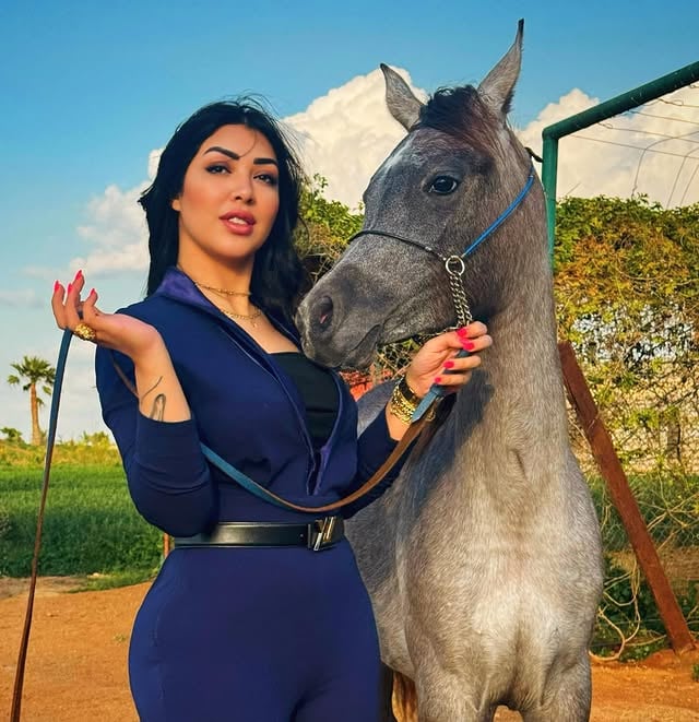 المهرة كوثر الفرسان ❤️🐎من انتاج مزرعة الفرسان للخيول العربية