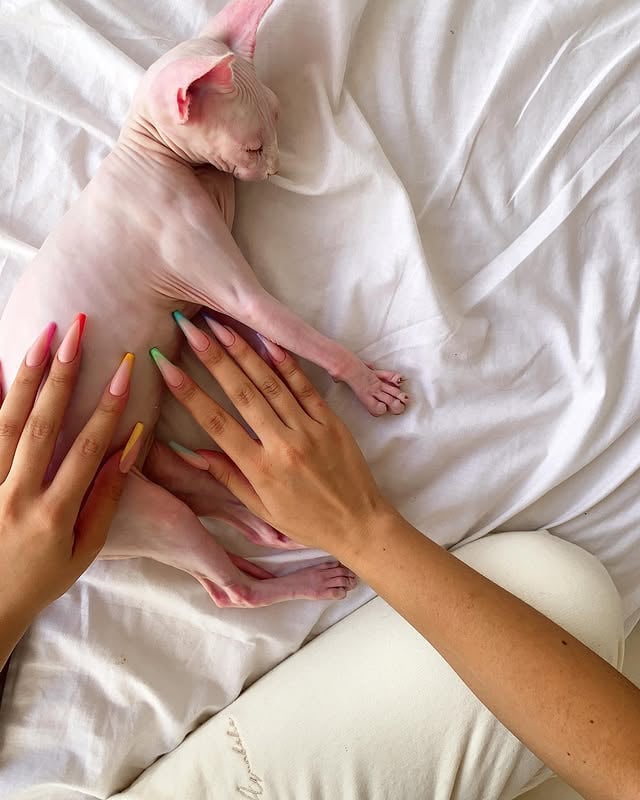 aries 2019-2025 🕊️ unforgettable 🌟✨⭐️🐈 miss u a lot my little bb🥺 by @gatitaveve.official