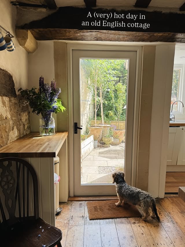 A very toasty day at the cottage today spent inside with the curtains closed. Too hot to cook (apart from melting some butter to make a fridge cake) and then we had a huge power cut ! For the whole afternoon. Everyone, especially Basil, is hoping for a slightly cooler one tomorrow - though he did manage some frolicking in the garden before it got too warm. Hope you managed to stay cool! 💕...#cottagelife #cottageliving #cottagestyle #countrylife by @rosieatthecottage