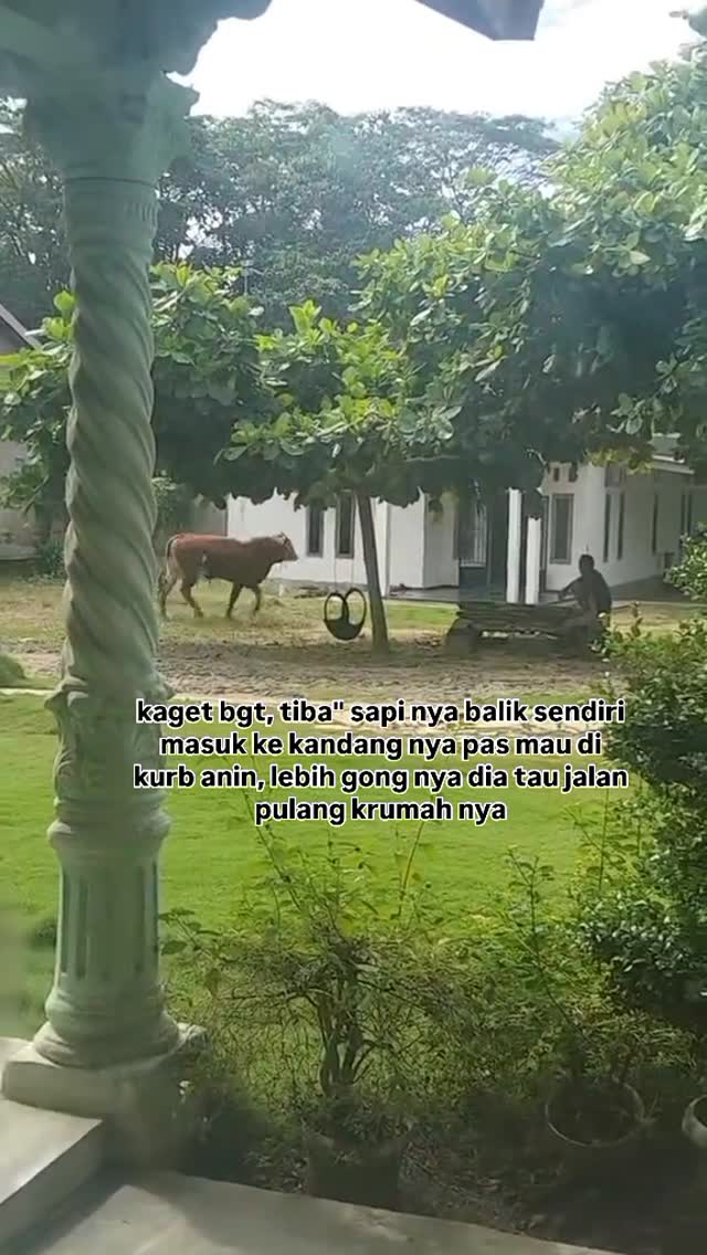 Bapak: "loh ko mulih le"Sc: alukatijo_6🌟 @Gestunbycpb - C4irn Limit Applikasi Pa*y Latter Kamu Amanah & Trusted By Mimin by @ndagel.crew