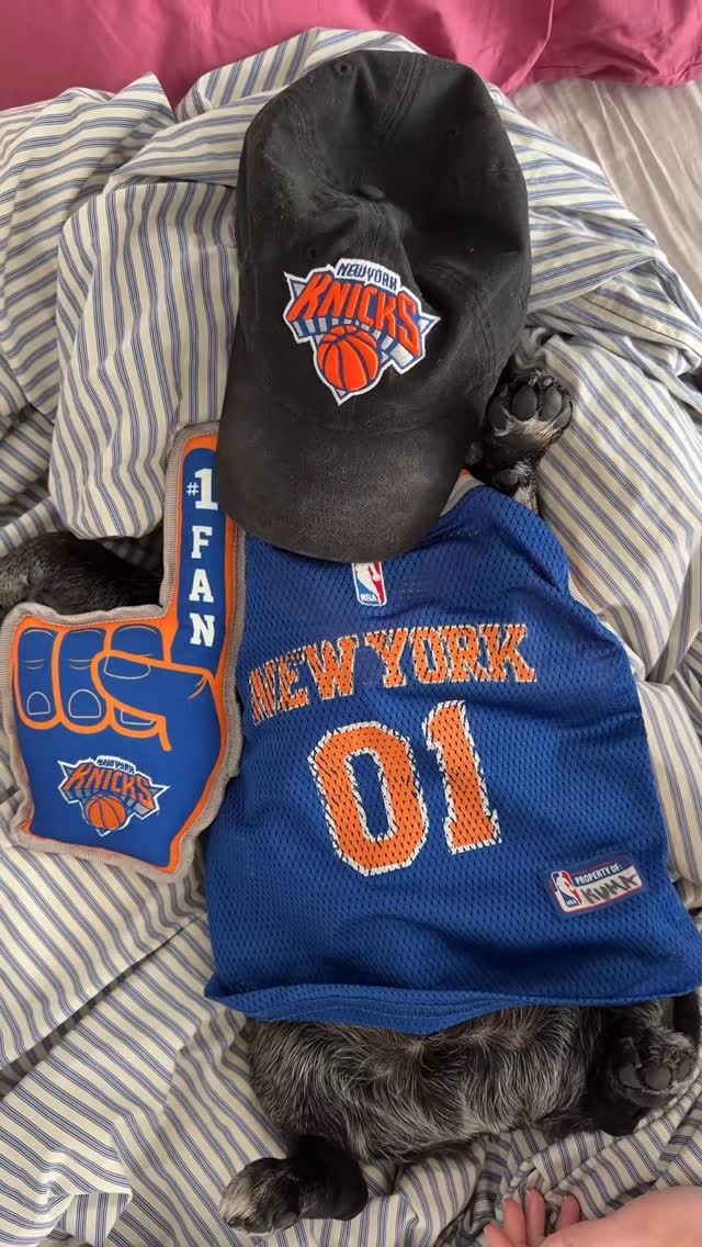 The New York Knicks are playing in the NBA Finals tonight!NYC, we need ALL the energy! Drop some good luck below 🏀🏆🧡💙🐾 by @pugkuma
