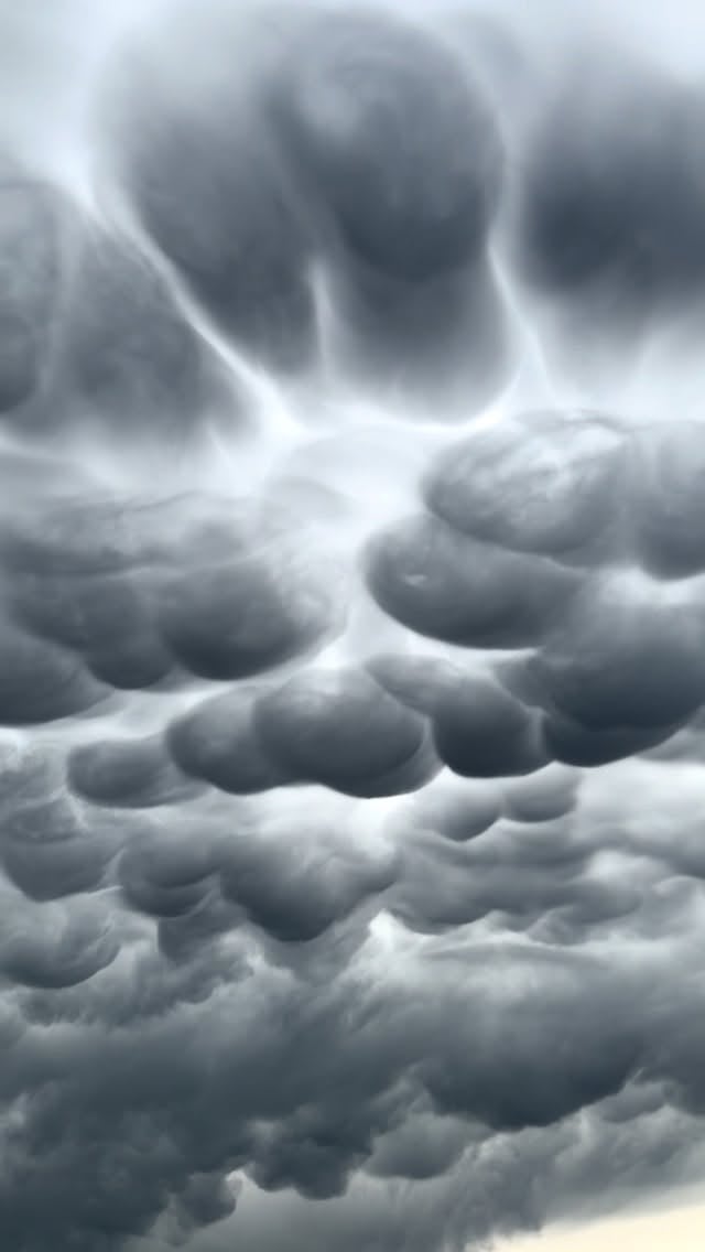 I think we saw aliens yesterday in Eastern Colorado! 👽 
#mammatus #otherworldly #stormchaser #storm #shotoniphone