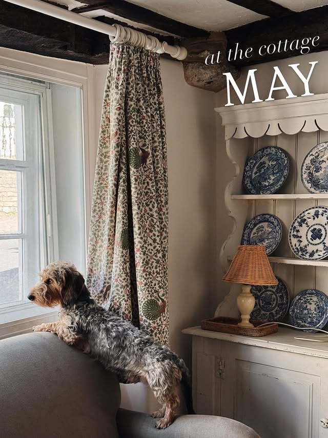 Looking back on May at the cottage 💫What a green month, filled with sunny days, wisteria, fridge cake and pie. Hard to believe it’s already June… We have a much-welcomed week of rain here, and husband is on paternity leave again 😍 so a slow week with lots of baby and Basil cuddles is on the cards. Woohoo! 💘Happy new week and month! ...#countryside #englishcountryside #cottage #cottagelife by @rosieatthecottage