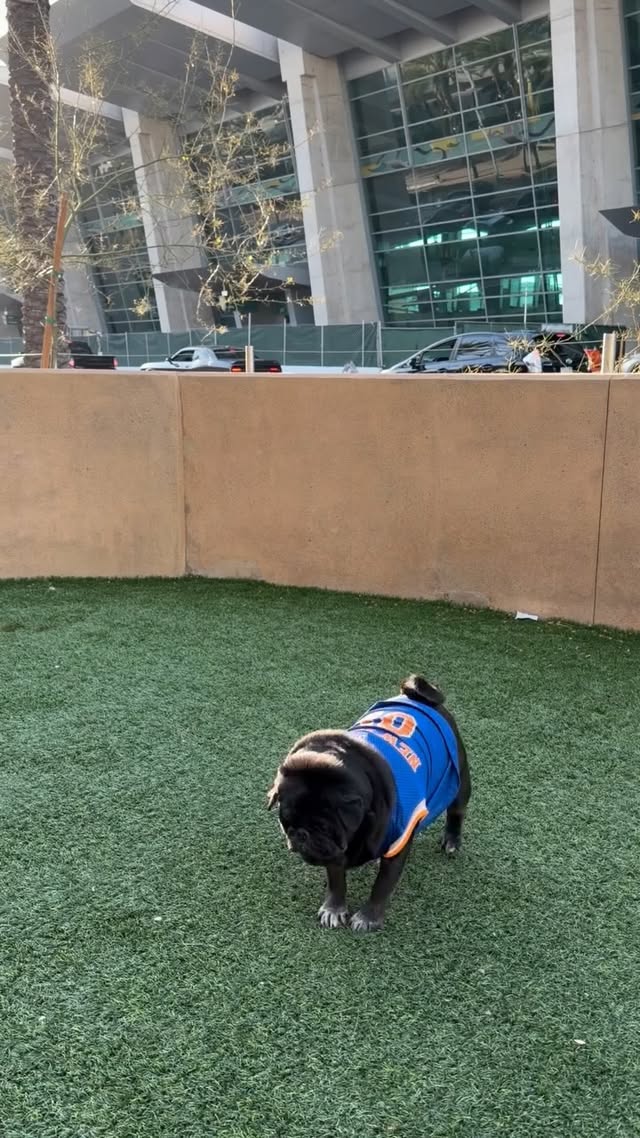 Follow Kuma's preflight routine to Vegas! (SAN>LAS) by @pugkuma