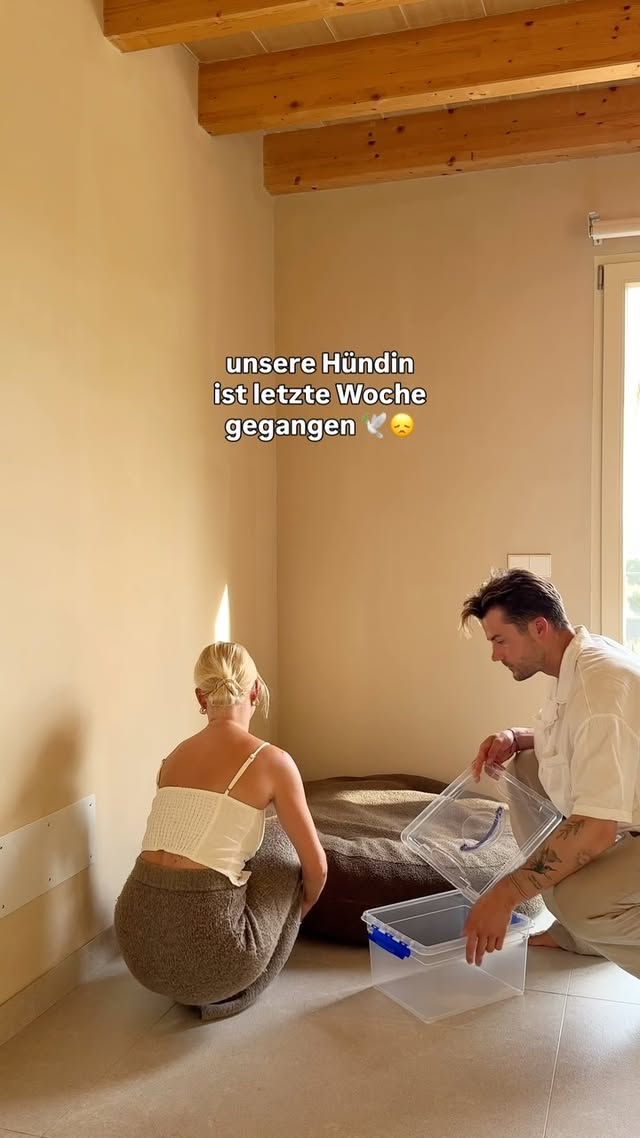 ihre Decke und Kissen haben wir noch letzte Woche luftdicht verpackt 😞, möchten ihren Geruch so gern festhalten. Habt ihr das auch schonmal gemacht? Oh man. Wie kann man einen Hund nur so sehr lieben und vermissen. 😟 by @lisaxdaniel