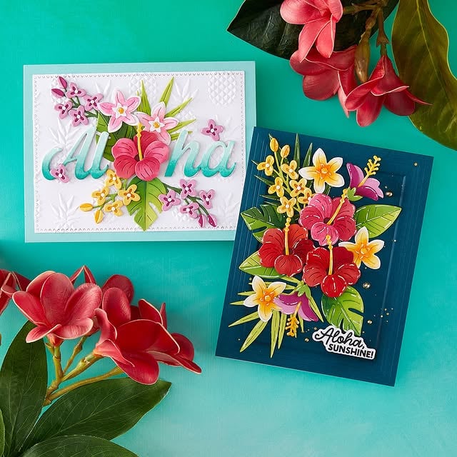 Aloha, creativity! 🌺🥥 June Clubs have arrived, and this month’s Aloha Greetings collection is bringing all the tropical vibes. 🐢 From lush florals and island-inspired icons to sunny sentiments, these designs are ready to help you create cards that feel like a mini getaway. 🌴☀️Join a Club: https://spellbinders.shop/clubs-ig #cardmaking #spellbindersclubkits by @teamspellbinders