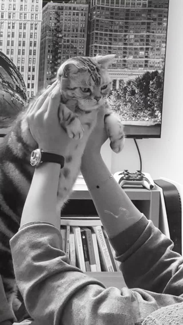 All day perfection with #MicroRGB.
Looks like Baul made a friend.

#SamsungTVPartner #SamsungVisionAI