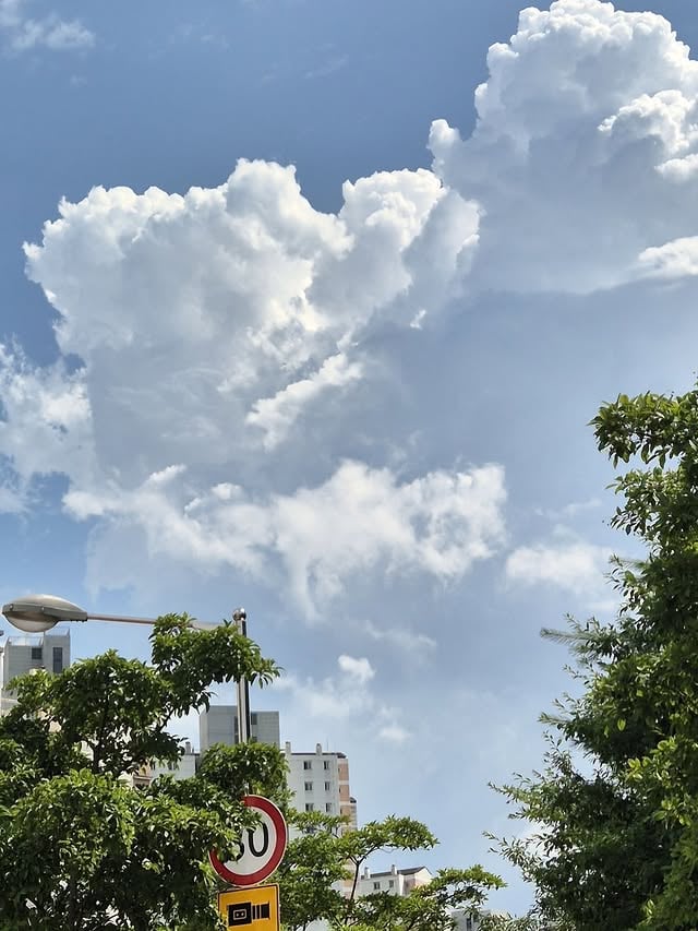 ☁️☁️☁️ by @youchi0_0