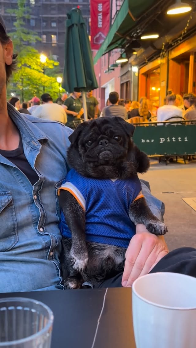 What a time to be alive in New York City! 💙🧡 by @pugkuma