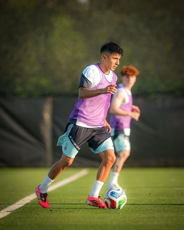 🇦🇷