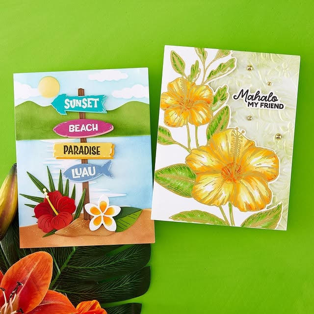 A little escape in an envelope is just a stamp away! 🌈☀️Follow the signs to sunshine, rainbows, relaxation, and tropical vibes with June's Clear Stamp & Die Club! ✨ Featuring the whimsical This Way to Rainbows design, playful signposts, and cheerful sentiments, this set is perfect for creating cards that deliver a little slice of paradise. 🌺🏝️Join the Club: https://bit.ly/clearstampdie#cardmaking #spellbindersclubkits by @teamspellbinders
