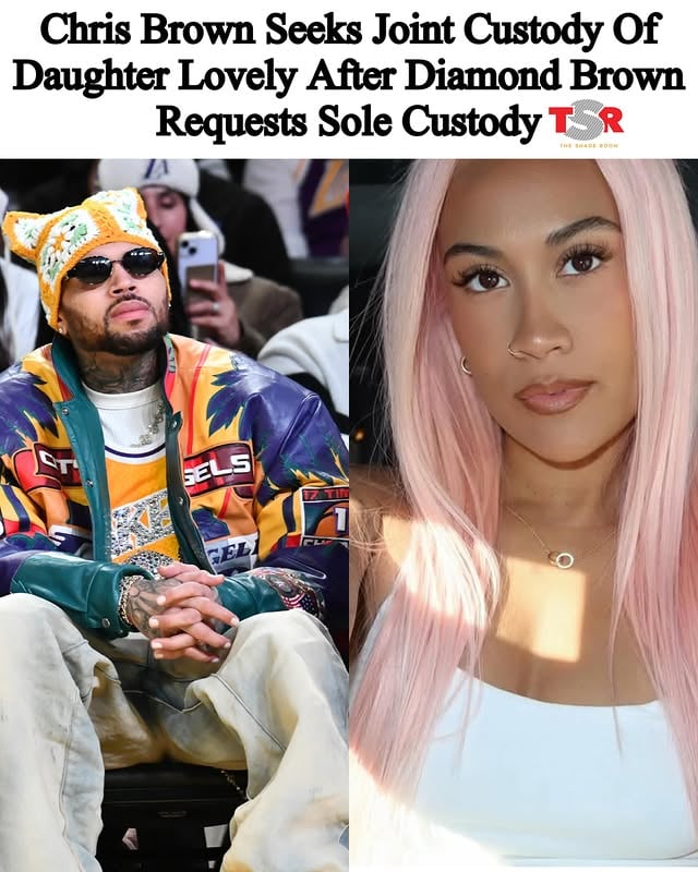 #ChrisBrown is fighting back after his daughter’s mother, #DiamondBrown, asked the court for sole legal and physical custody of their 4-year-old daughter, Lovely Symphani Brown, according to @TMZ_tv. If you recall, Diamond filed paperwork in Los Angeles last month requesting primary custody, while proposing that Chris be granted visitation rights only. 
_________________________
However, Chris isn’t feeling that arrangement. The singer has responded by requesting joint legal and physical custody of Lovely. He’s also asking that both parties cover their own legal expenses. Reports state that Diamond previously requested that Chris be responsible for her legal fees. SWIPE ✍🏾#TSRStaffAS 📷:(@gettyimages)