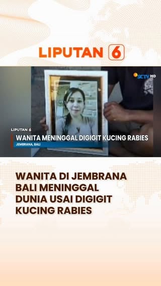 Seorang wanita di Jembrana, Bali, meninggal dunia setelah digigit kucing liar. Sebelum meninggal, korban mengalami gejala mirip rabies seperti takut air dan sensitif terhadap hembusan angin.⁣
⁣
#newssctv #liputan6sctv #jembrana #jembranabali #kucingrabies