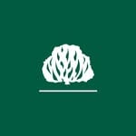 Igreja Presbiteriana do Brasil(@ipboficial)'s profile avatar